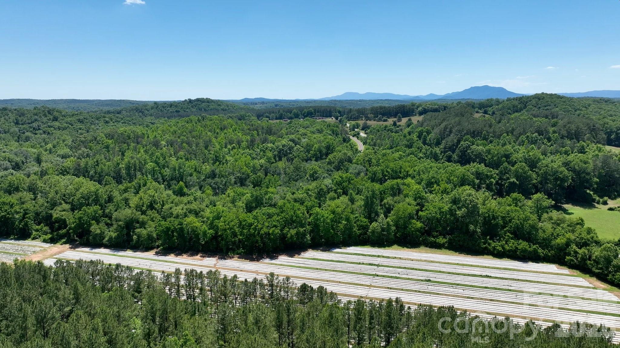 99999 Tryon Road Rutherfordton, NC 28139 - Photo 16 of 25