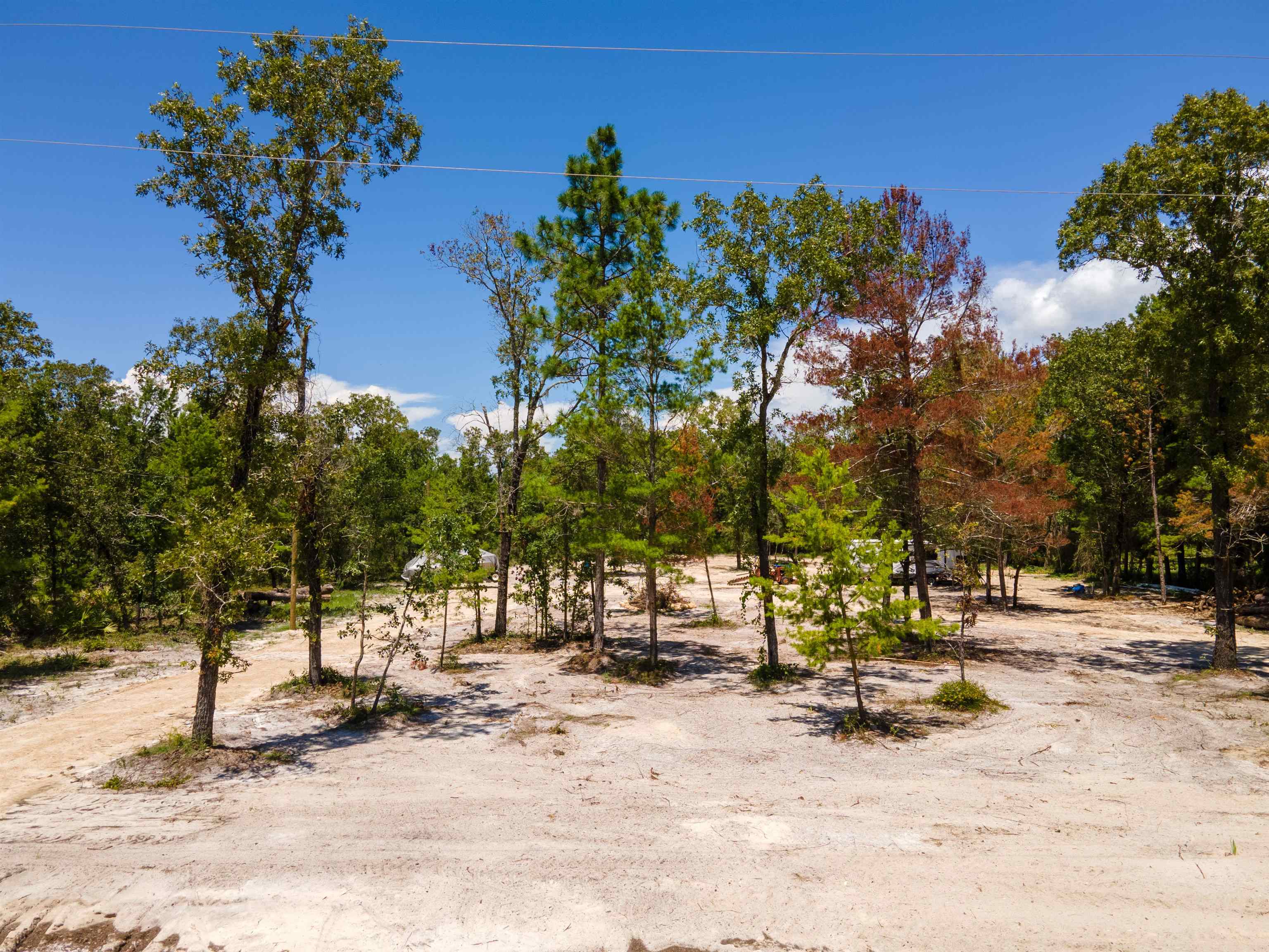 2490 Black Oak Road Perry, FL 32348 - Photo 5 of 13 Gallery Image 5