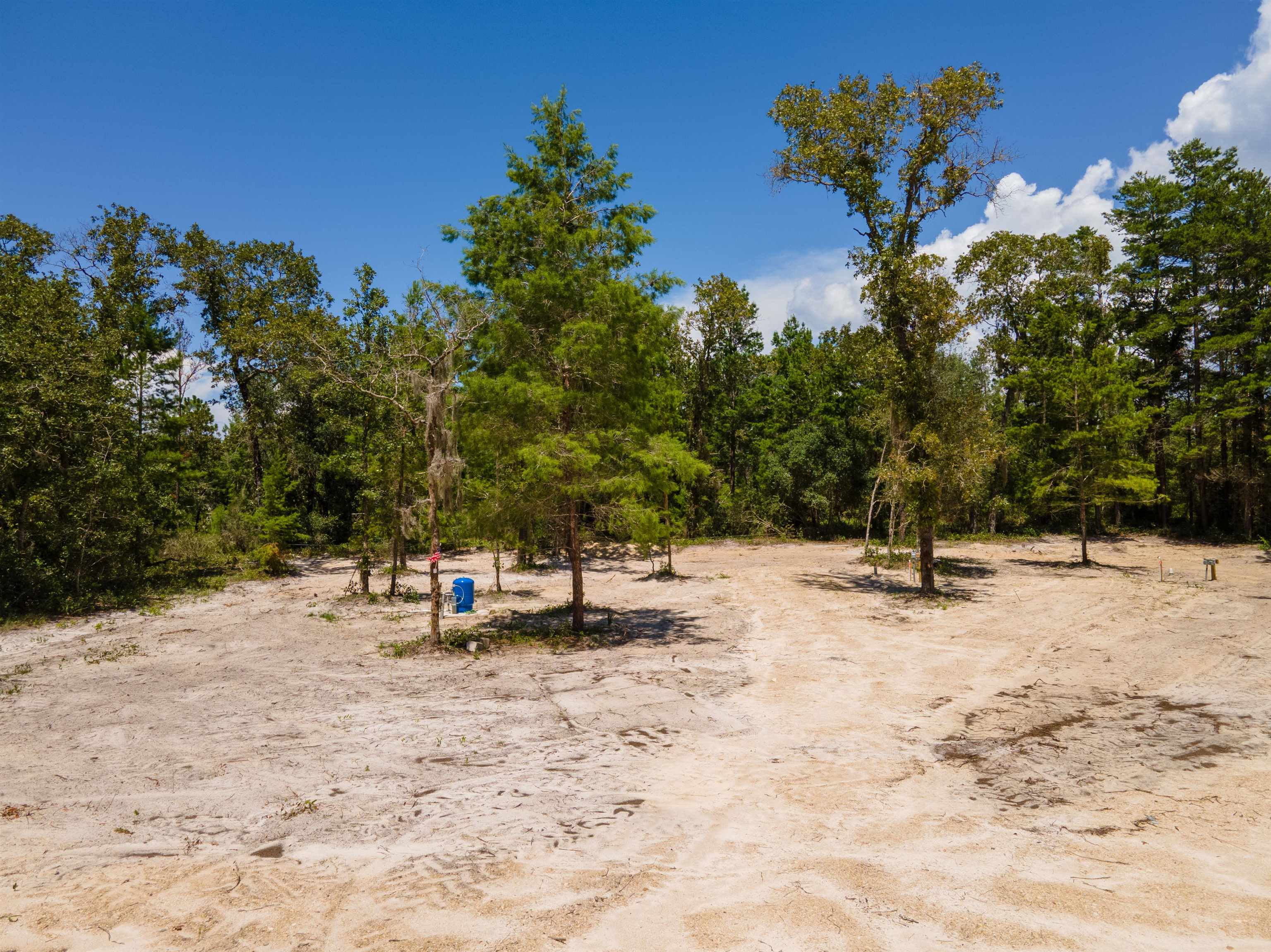 2490 Black Oak Road Perry, FL 32348 - Photo 6 of 13 Gallery Image 6