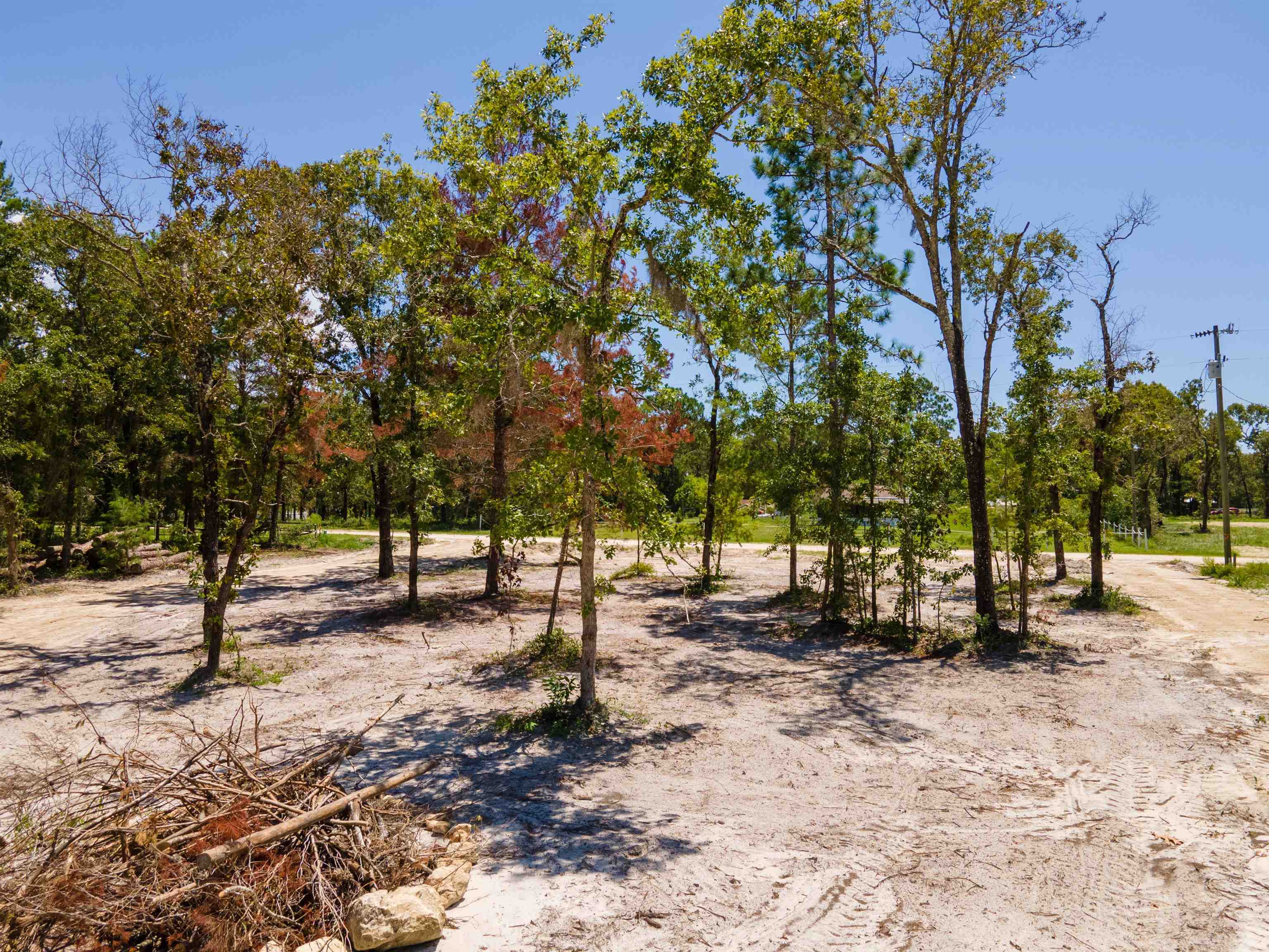 2490 Black Oak Road Perry, FL 32348 - Photo 8 of 13 Gallery Image 8
