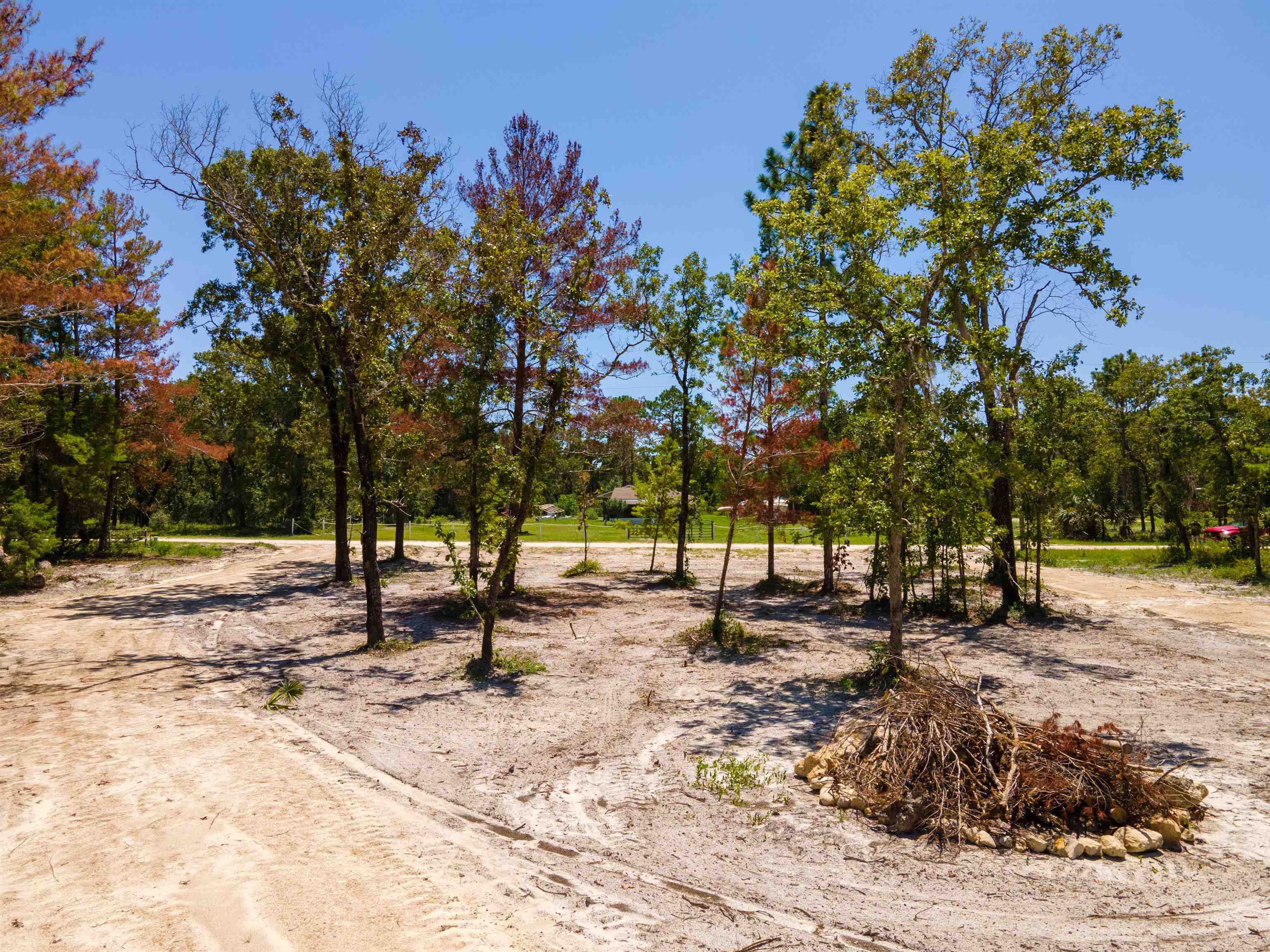 2490 Black Oak Road Perry, FL 32348 - Photo 9 of 13 Gallery Image 9