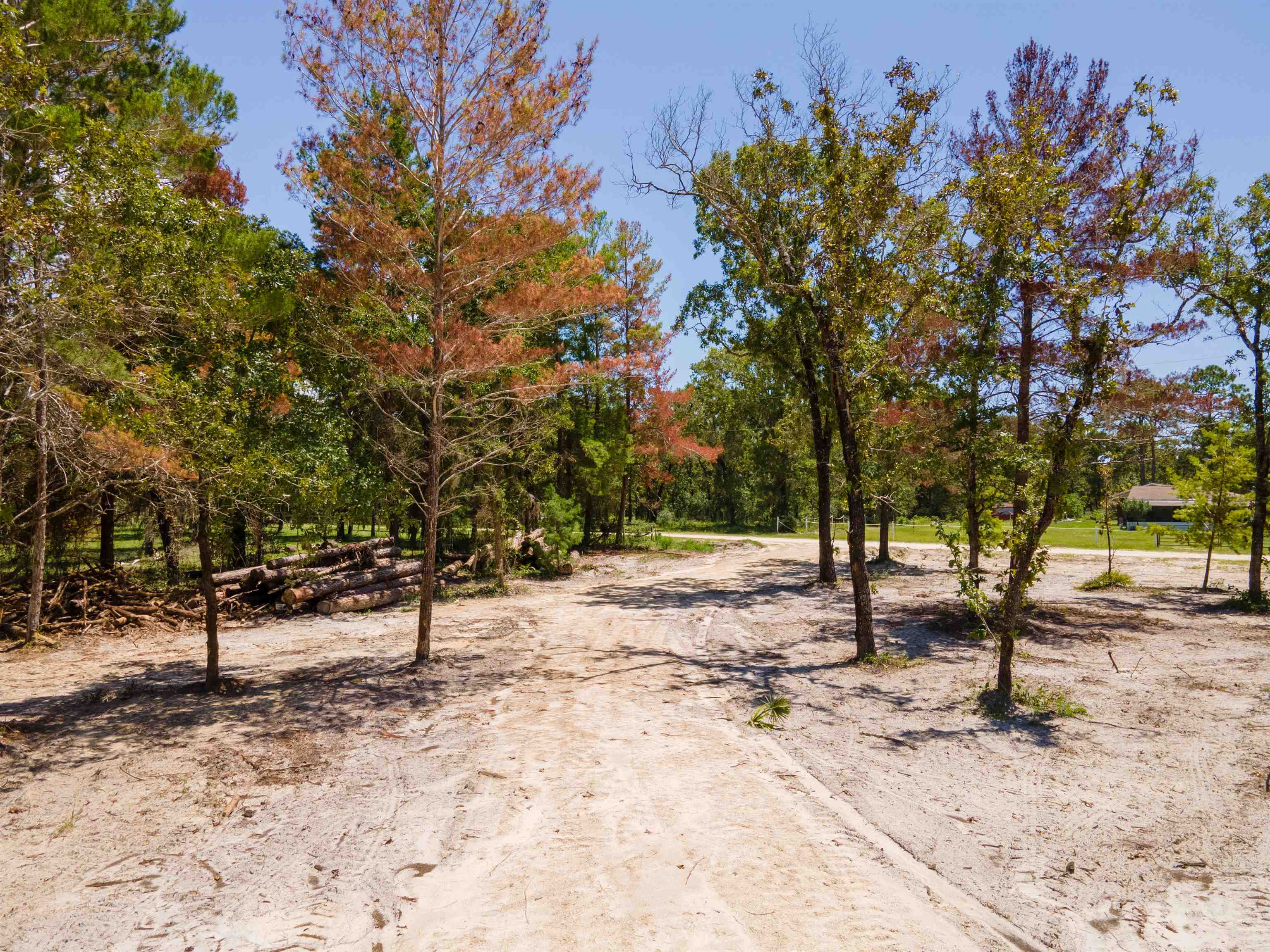 2490 Black Oak Road Perry, FL 32348 - Photo 10 of 13 Gallery Image 10