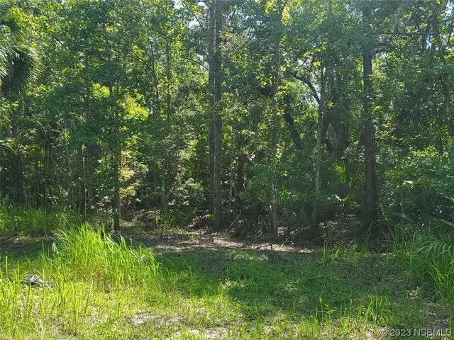 a view of a green field