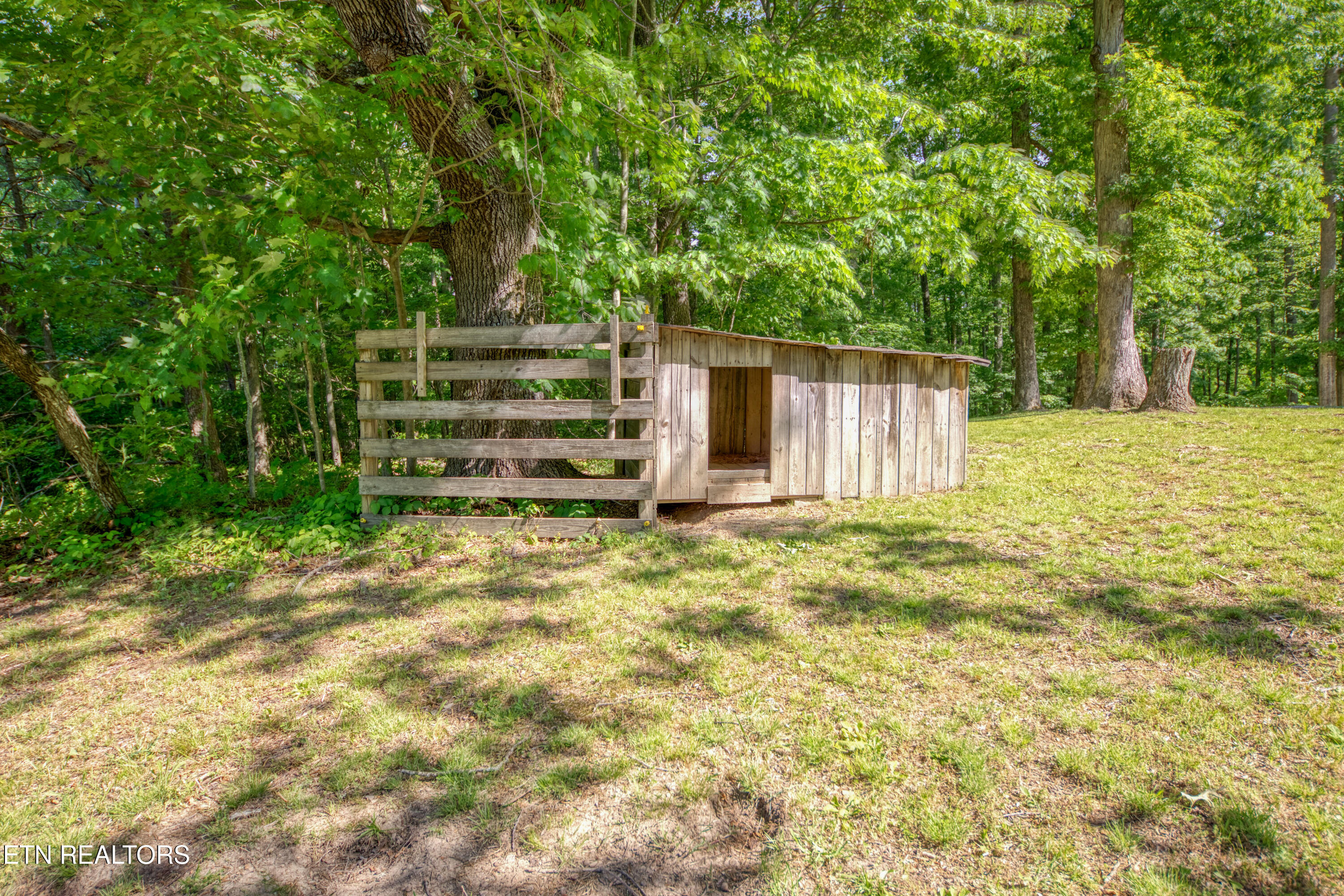 911 Big Ridge Road Oneida, TN 37841 - Photo 28 of 49 0H3A7160_21