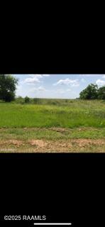 Front of land