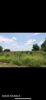 0 Cabrol Road Abbeville, LA 70510 - Photo 5 of 5 IMG_9509