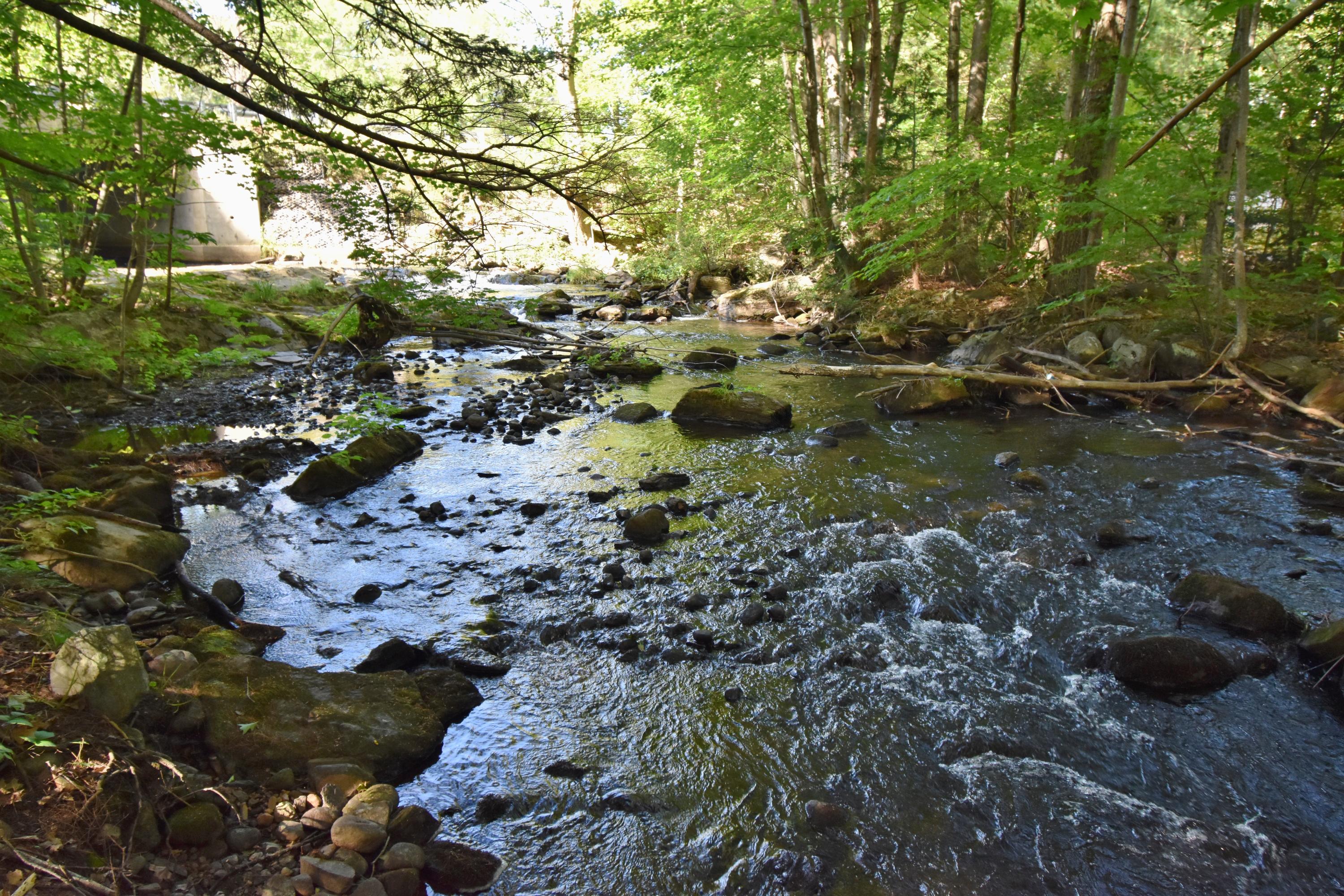 3 Varney Mill Road Windham, ME 04062 - Photo 30 of 33 Brook