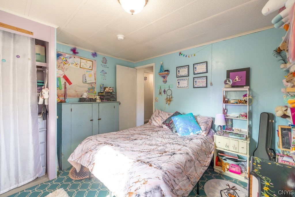 3151 Rockefeller Road Moravia, NY 13118 - Photo 28 of 50