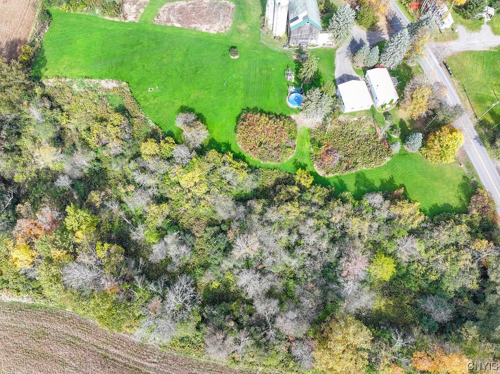 3151 Rockefeller Road Moravia, NY 13118 - Photo 49 of 50