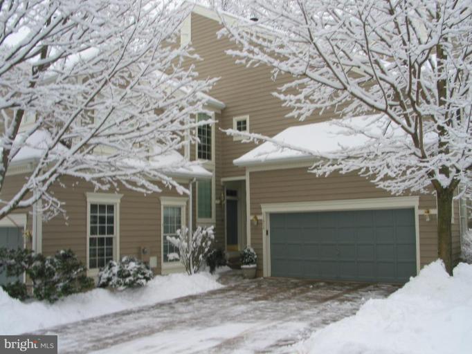 Winter Wonderland!