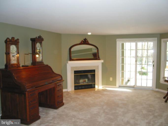 11424 Hollow Timber Court Reston, VA 20194 - Photo 6 of 19 Wood Burning Fireplace in Walkout basement