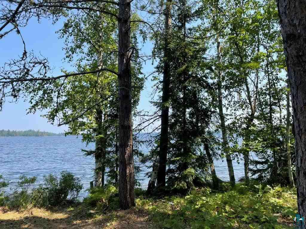 3345 Wolf Lake Road Ely, MN 55731 - Photo 11 of 18