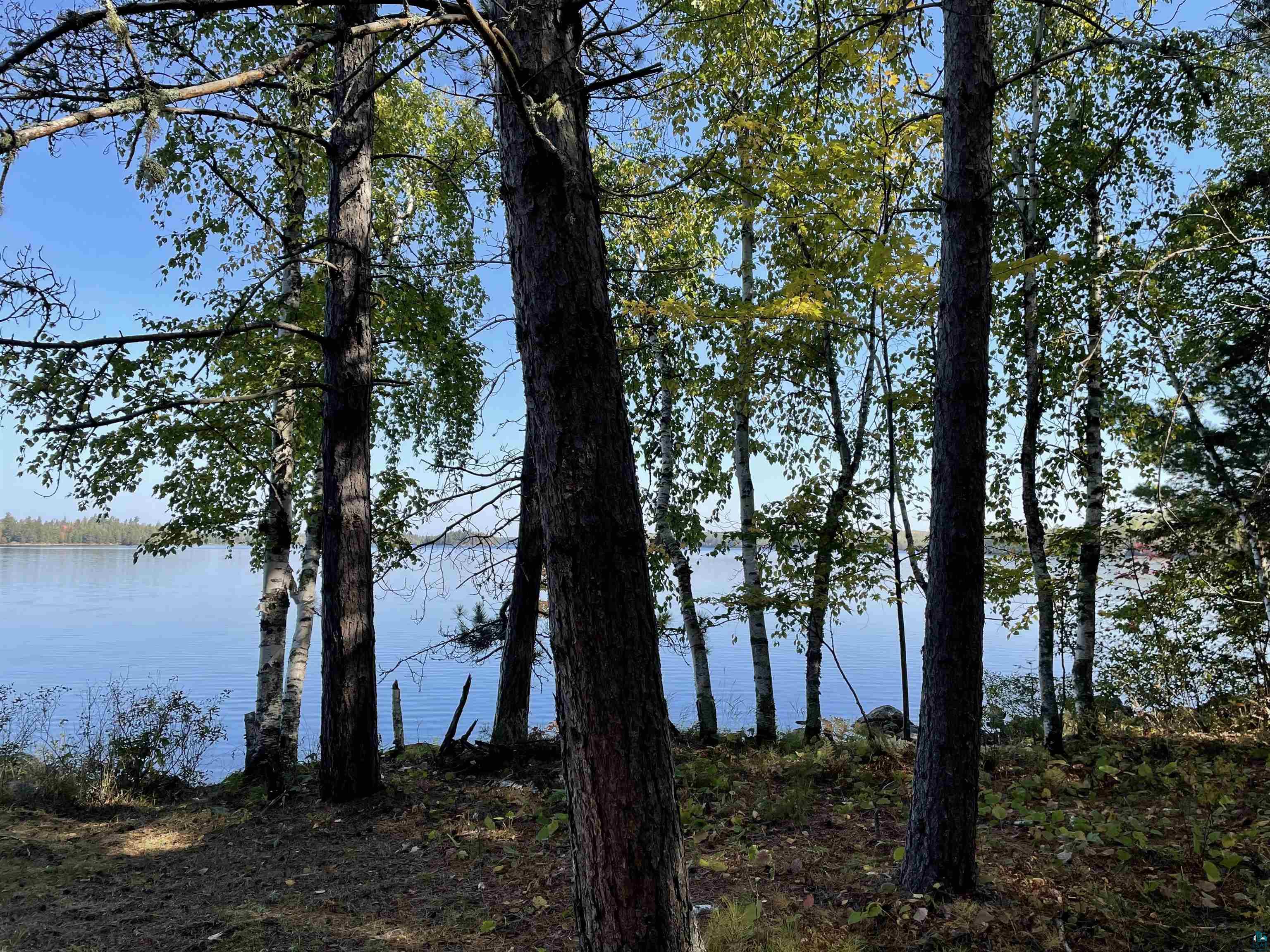 3345 Wolf Lake Road Ely, MN 55731 - Photo 12 of 18