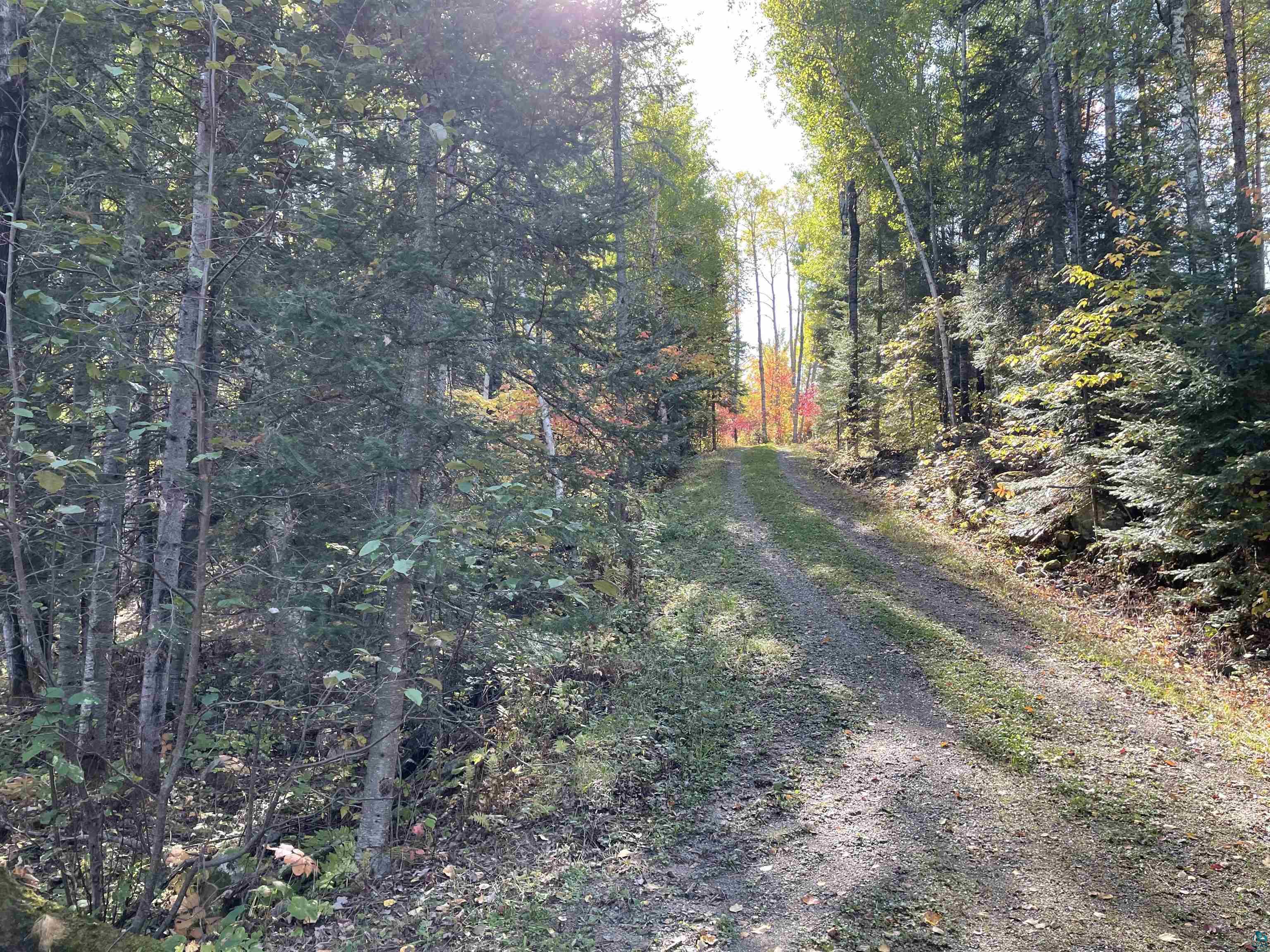 3345 Wolf Lake Road Ely, MN 55731 - Photo 14 of 18