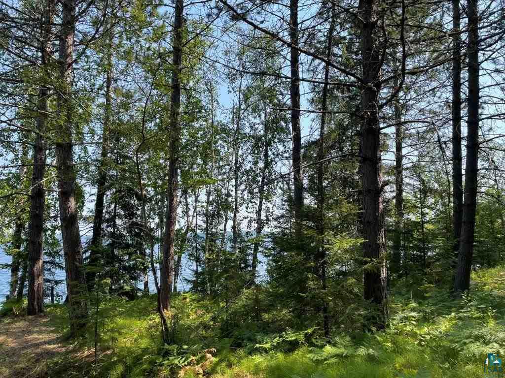 3345 Wolf Lake Road Ely, MN 55731 - Photo 17 of 18