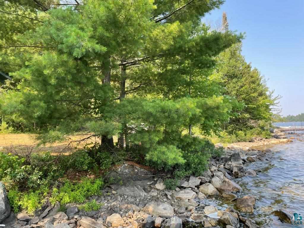 3345 Wolf Lake Road Ely, MN 55731 - Photo 3 of 18