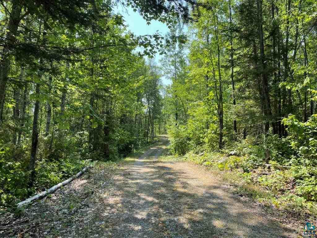 3345 Wolf Lake Road Ely, MN 55731 - Photo 8 of 18