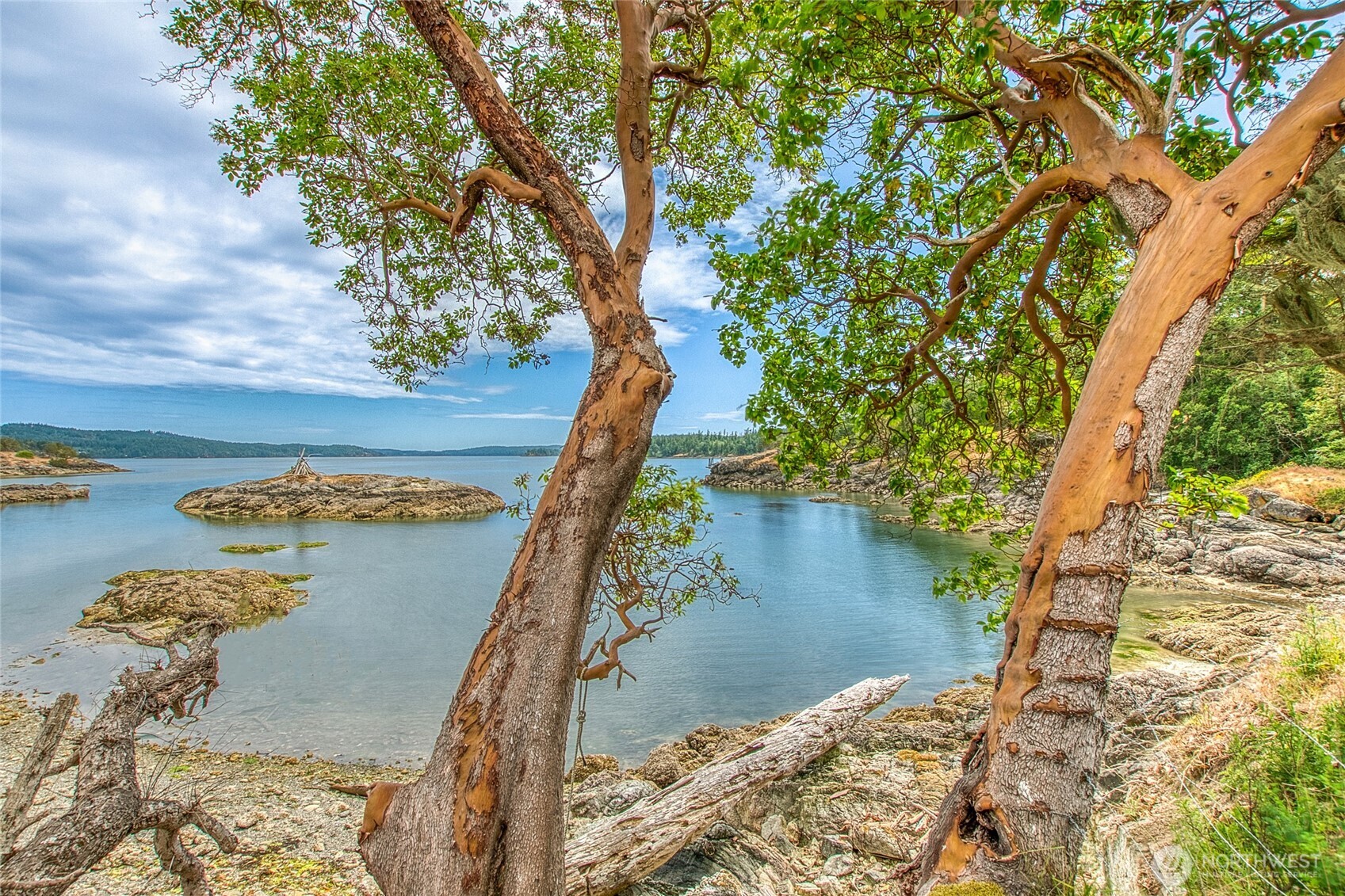 3388 Deer Harbor Road Orcas Island, WA 98243 - Photo 2 of 38