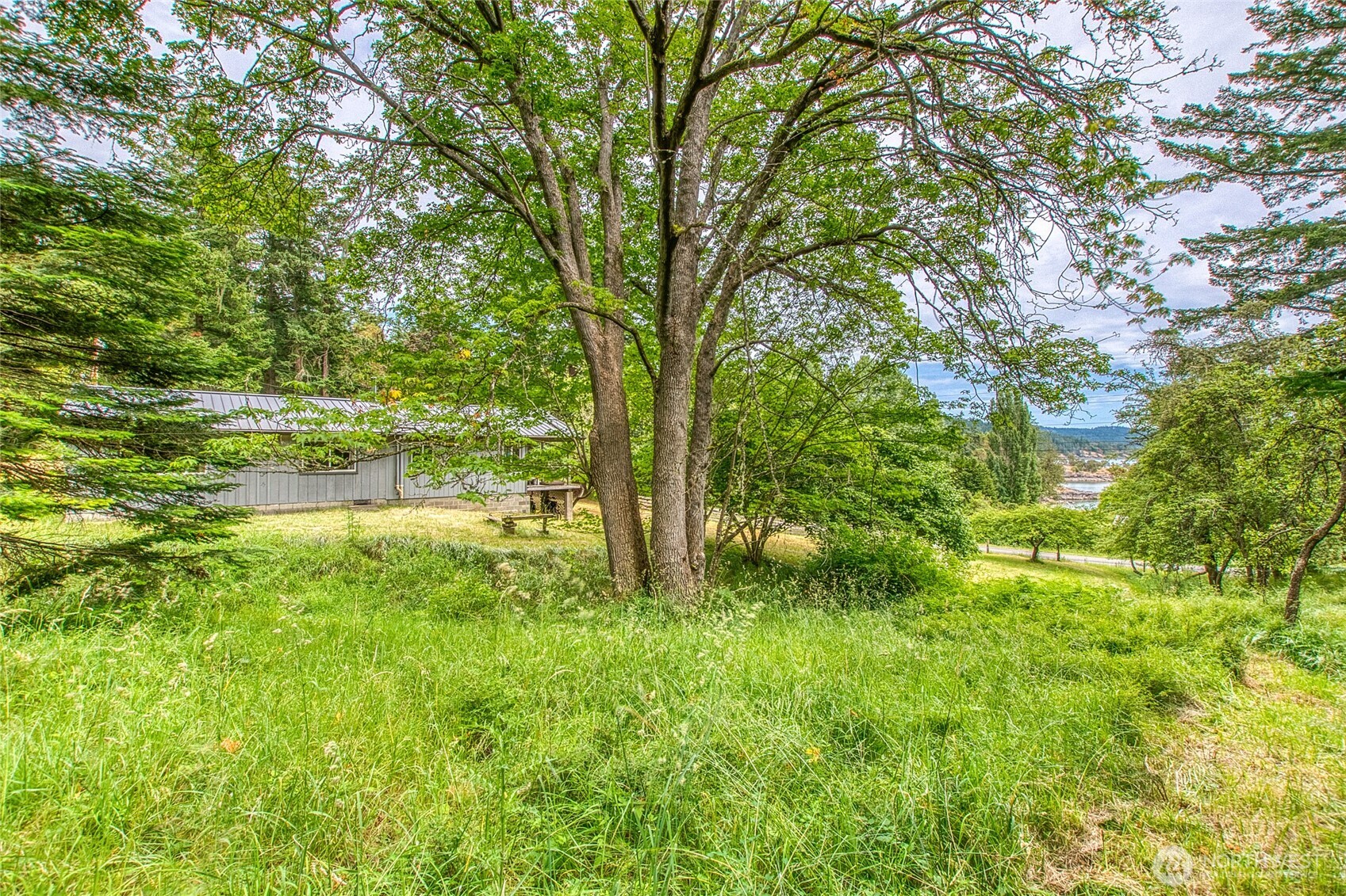 3388 Deer Harbor Road Orcas Island, WA 98243 - Photo 29 of 38