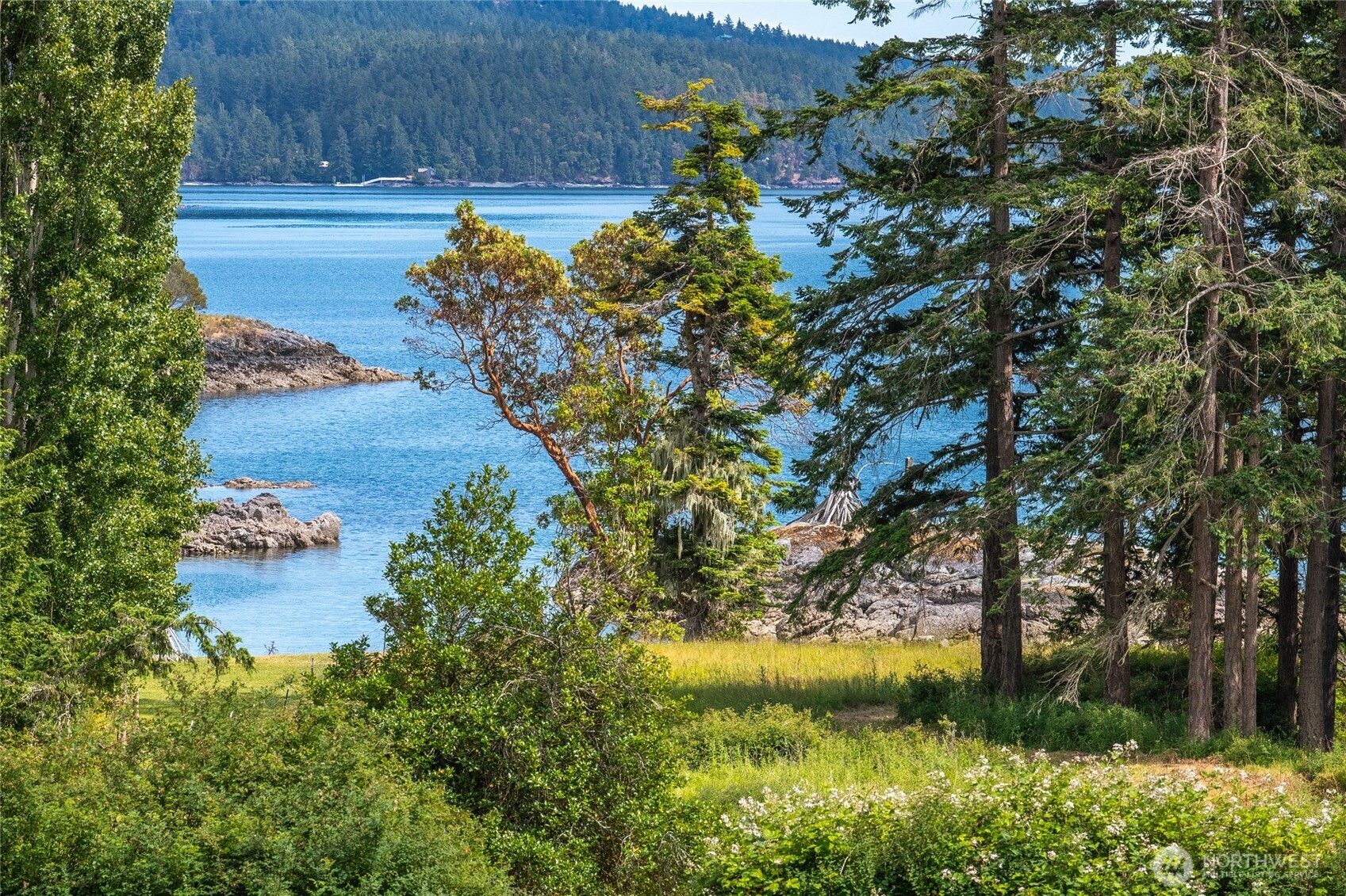 3388 Deer Harbor Road Orcas Island, WA 98243 - Photo 4 of 38