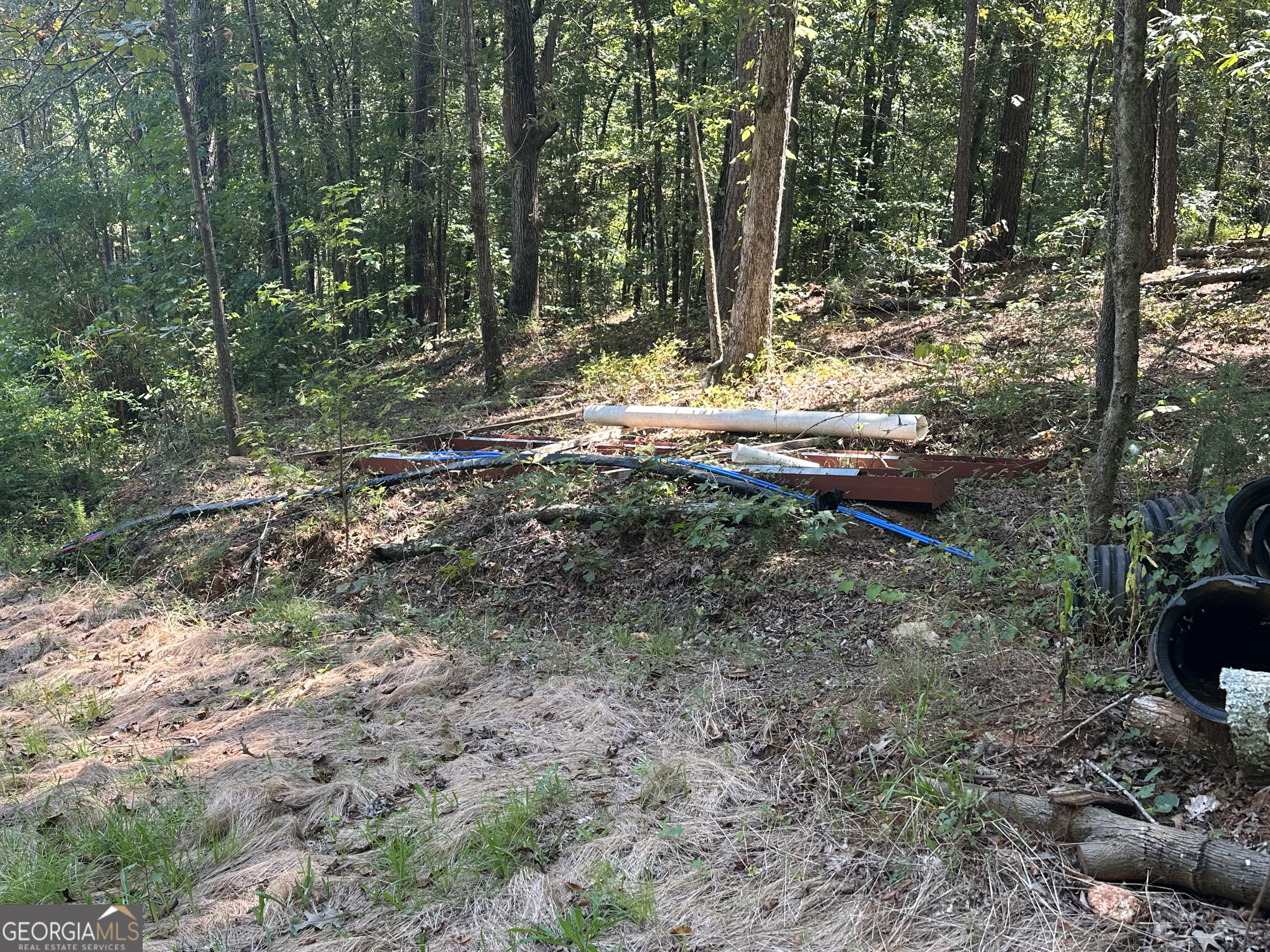 46 Creek Ridge Winterville, GA 30683 - Photo 13 of 13