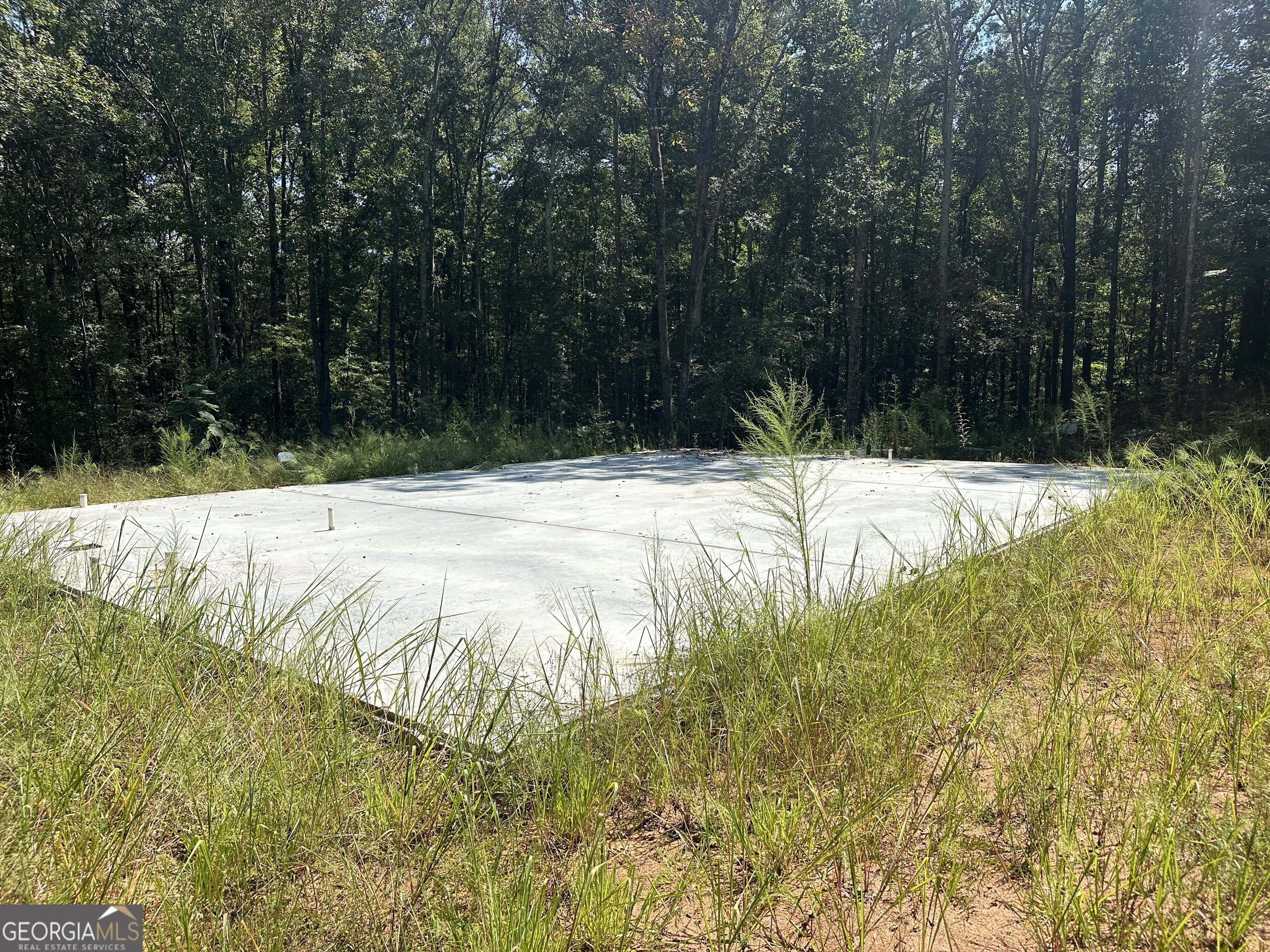 46 Creek Ridge Winterville, GA 30683 - Photo 3 of 13