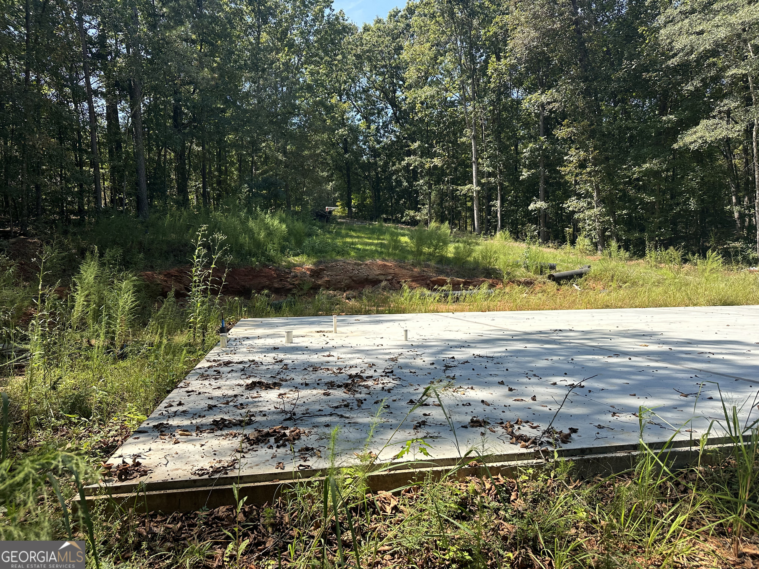 46 Creek Ridge Winterville, GA 30683 - Photo 4 of 13