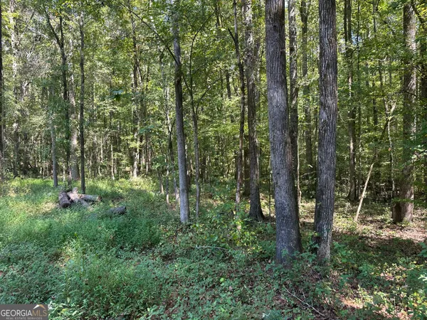 $195,000 | 46 Creek Ridge, Winterville, GA 30683