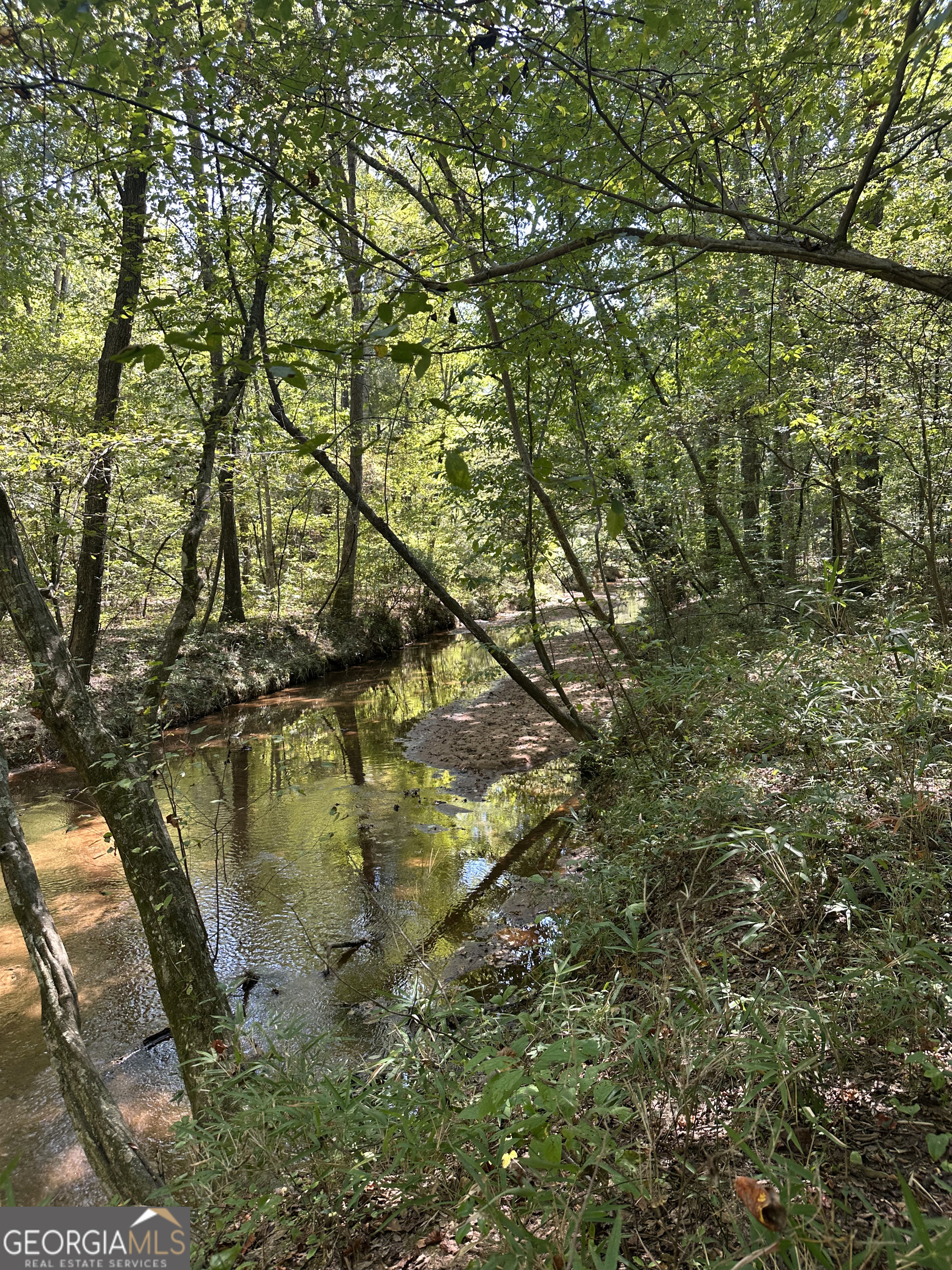 46 Creek Ridge Winterville, GA 30683 - Photo 6 of 13