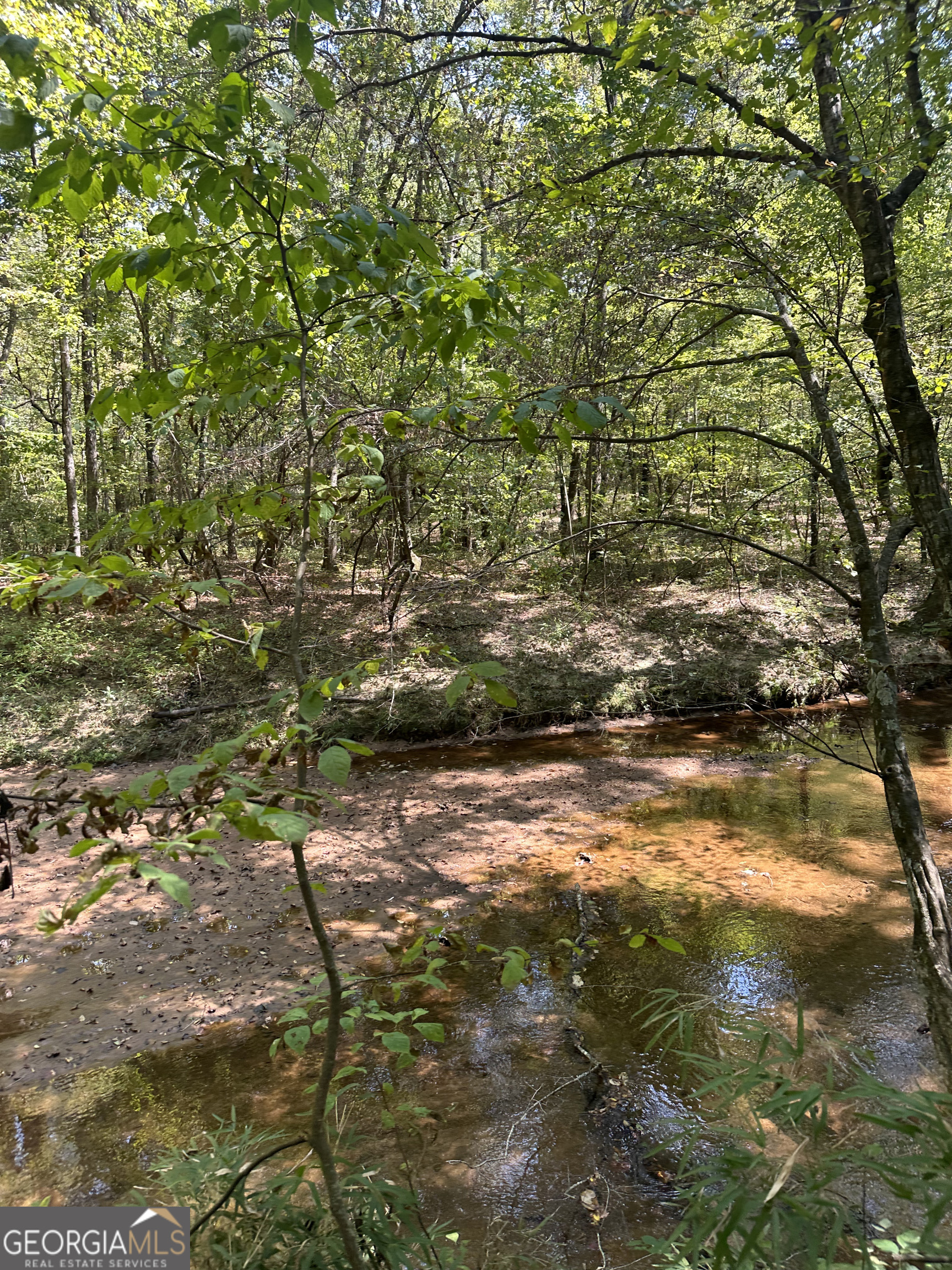 46 Creek Ridge Winterville, GA 30683 - Photo 7 of 13