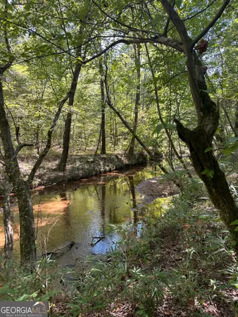 $195,000 | 46 Creek Ridge, Winterville, GA 30683