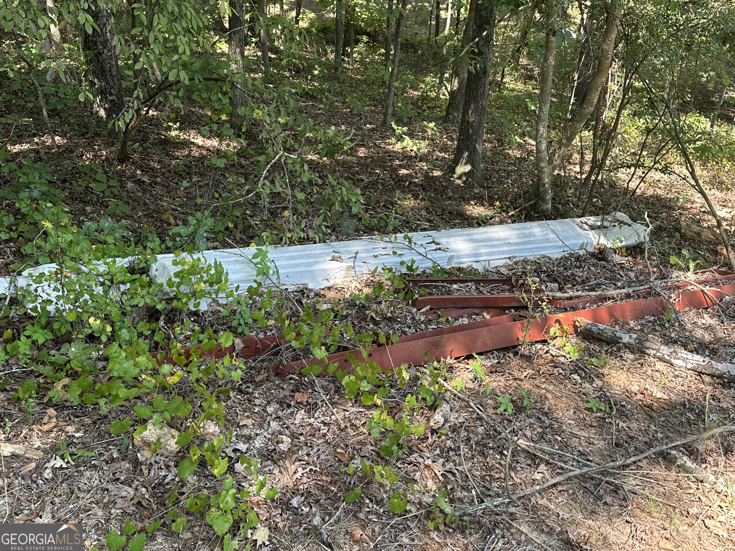 46 Creek Ridge Winterville, GA 30683 - Photo 9 of 13