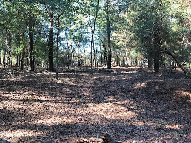 1416 Brown Road Hephzibah, GA 30815 - Photo 1 of 1 Main View