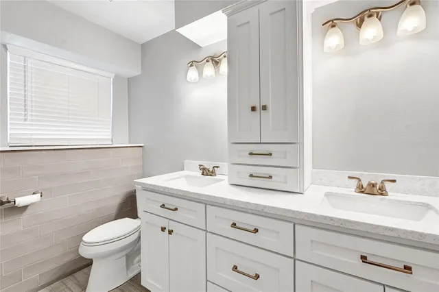 a bathroom with a sink a toilet and a mirror