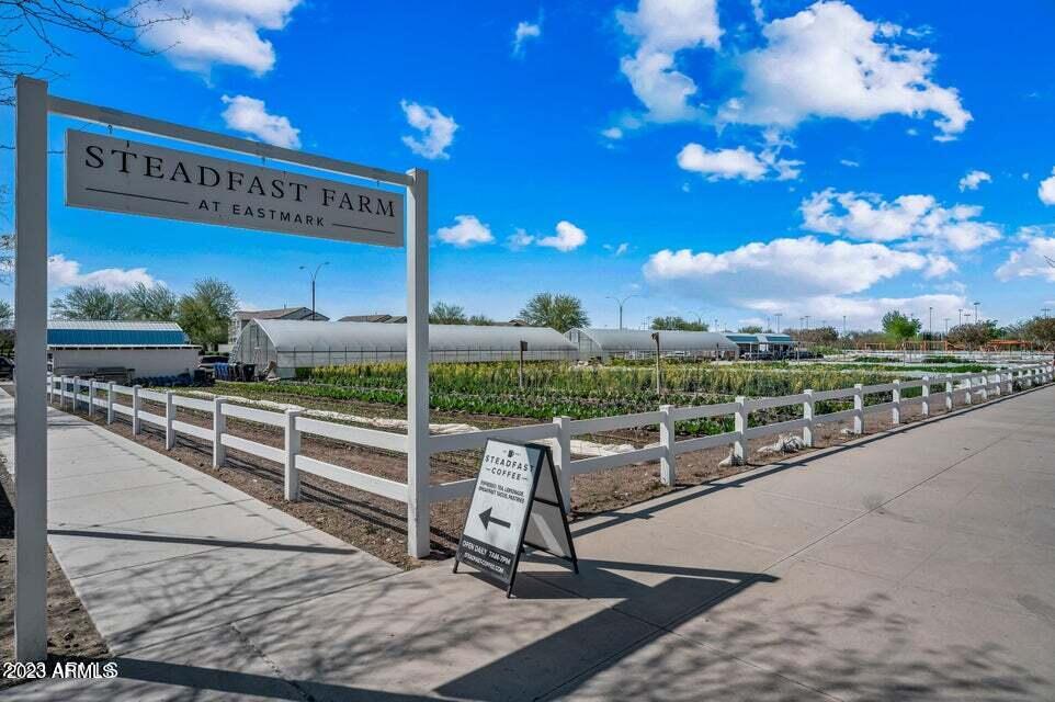 4557 South Element Mesa, AZ 85212 - Photo 35 of 45 eastmark - Copy