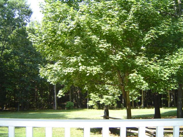 288 Cardinal Ridge Drive Rocky Mount, VA 24151 - Photo 12 of 14 Views