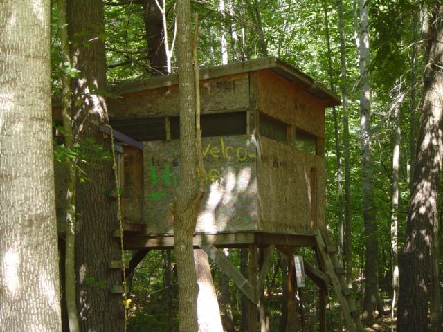288 Cardinal Ridge Drive Rocky Mount, VA 24151 - Photo 13 of 14 Tree House