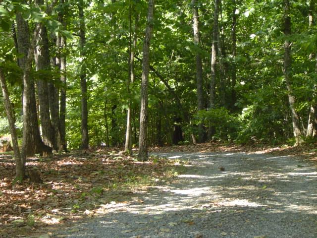 288 Cardinal Ridge Drive Rocky Mount, VA 24151 - Photo 14 of 14 Private Drive to House