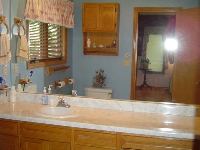 288 Cardinal Ridge Drive Rocky Mount, VA 24151 - Photo 9 of 14 Master Bath
