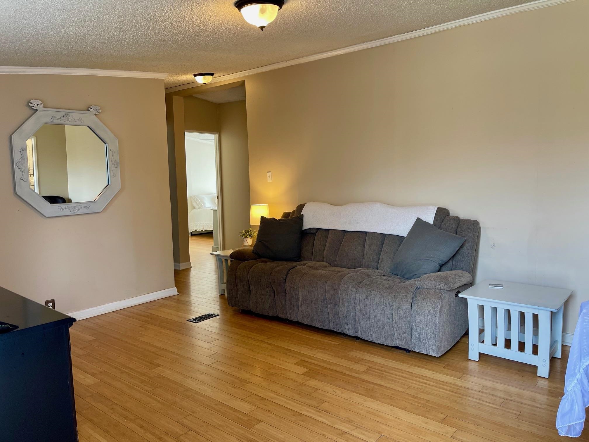 1537 Double Branch Road Cowpens, SC 29330 - Photo 3 of 25