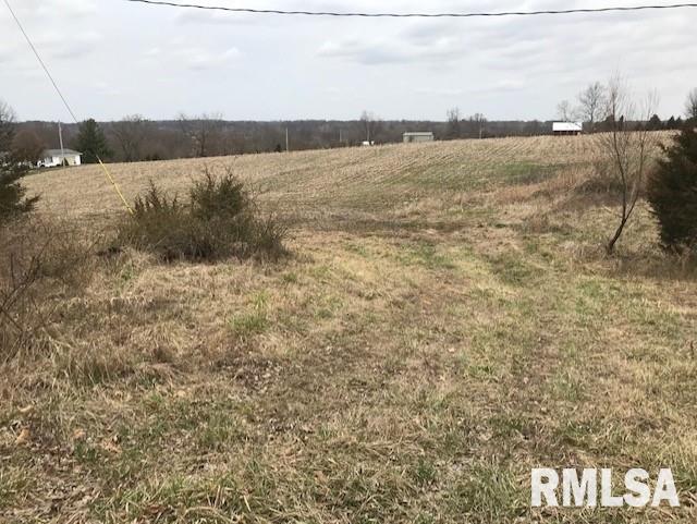 0 West No Name Road Carbondale, IL 62902 - Photo 2 of 5 Gallery Image 2