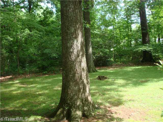 3217 Creek Ridge Road Greensboro, NC 27406 - Photo 6 of 16 Yard/Garden.