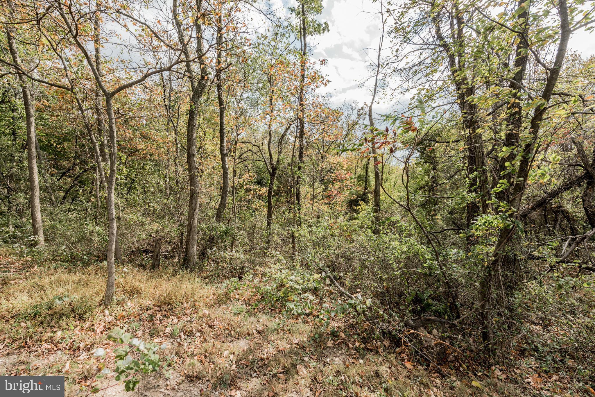 Chapel Road New Windsor, MD 21776 - Photo 1 of 13 View