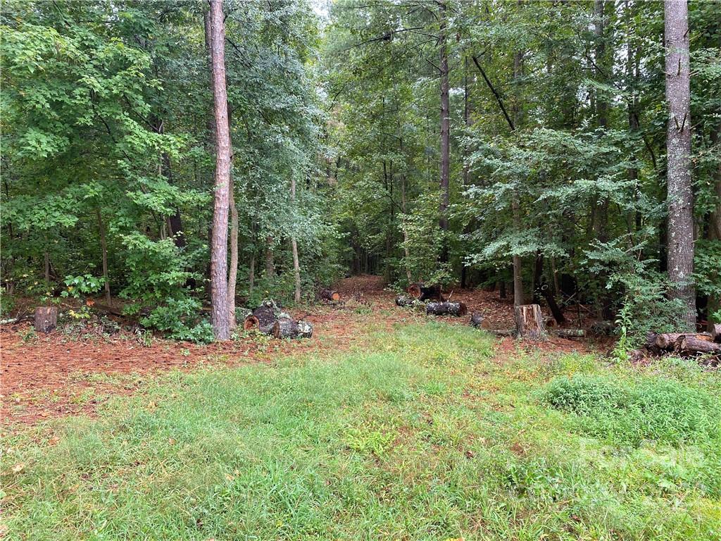 0 Smith Road Indian Land, SC 29707 - Photo 1 of 6
