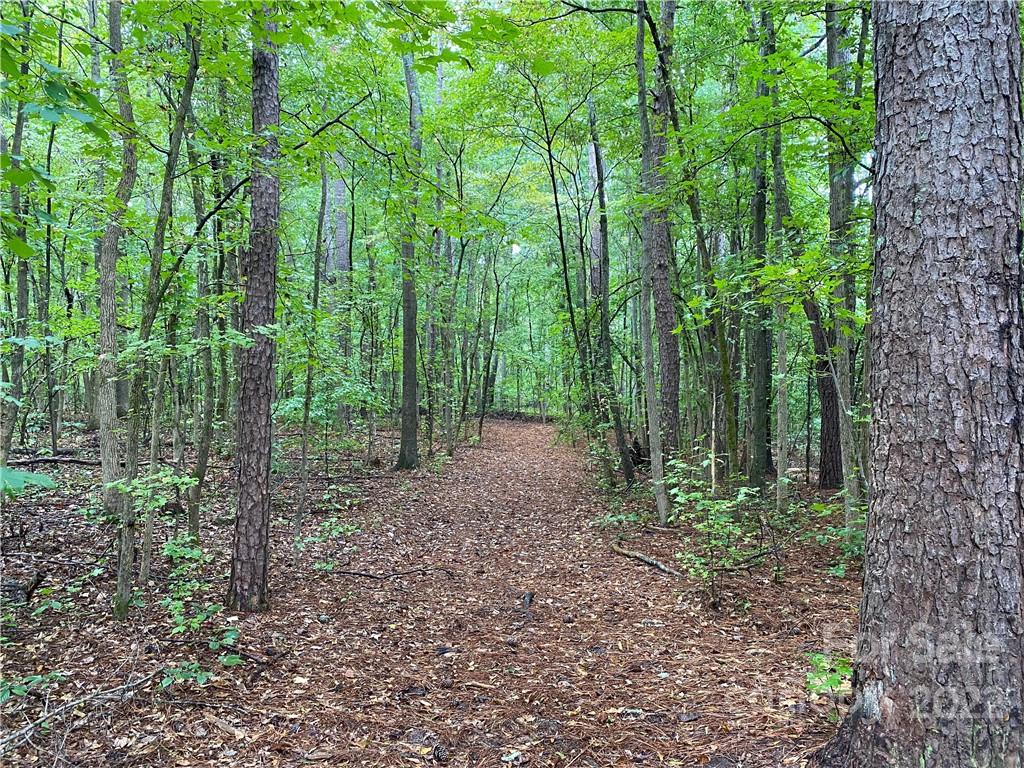0 Smith Road Indian Land, SC 29707 - Photo 2 of 6