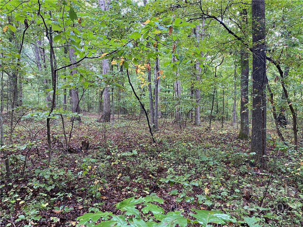 0 Smith Road Indian Land, SC 29707 - Photo 3 of 6