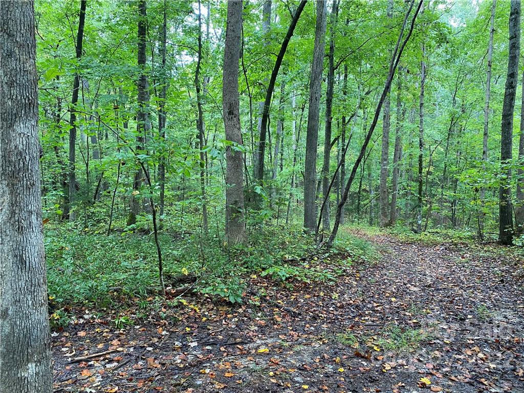 0 Smith Road Indian Land, SC 29707 - Photo 4 of 6