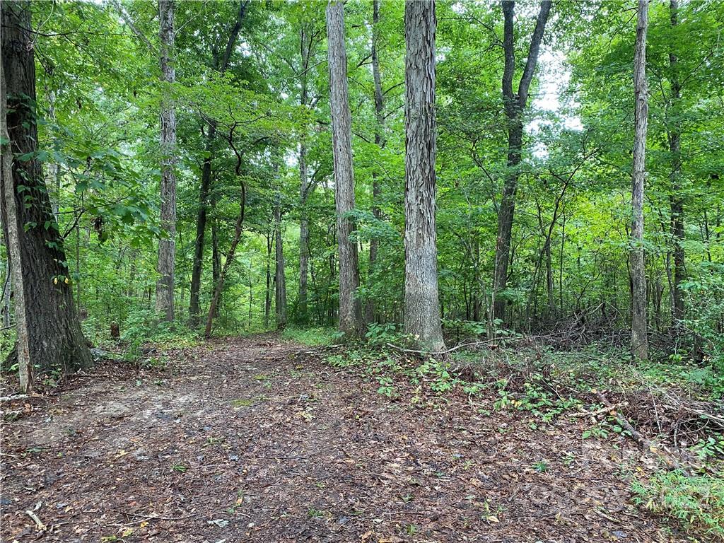 0 Smith Road Indian Land, SC 29707 - Photo 5 of 6