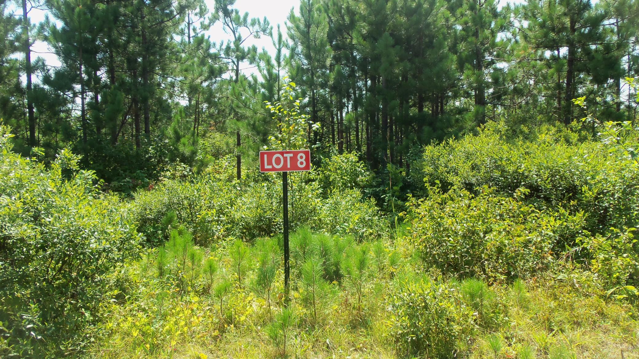Lot 8 Cty Highway Springbrook, WI 54875 - Photo 1 of 1 Gallery Image 1