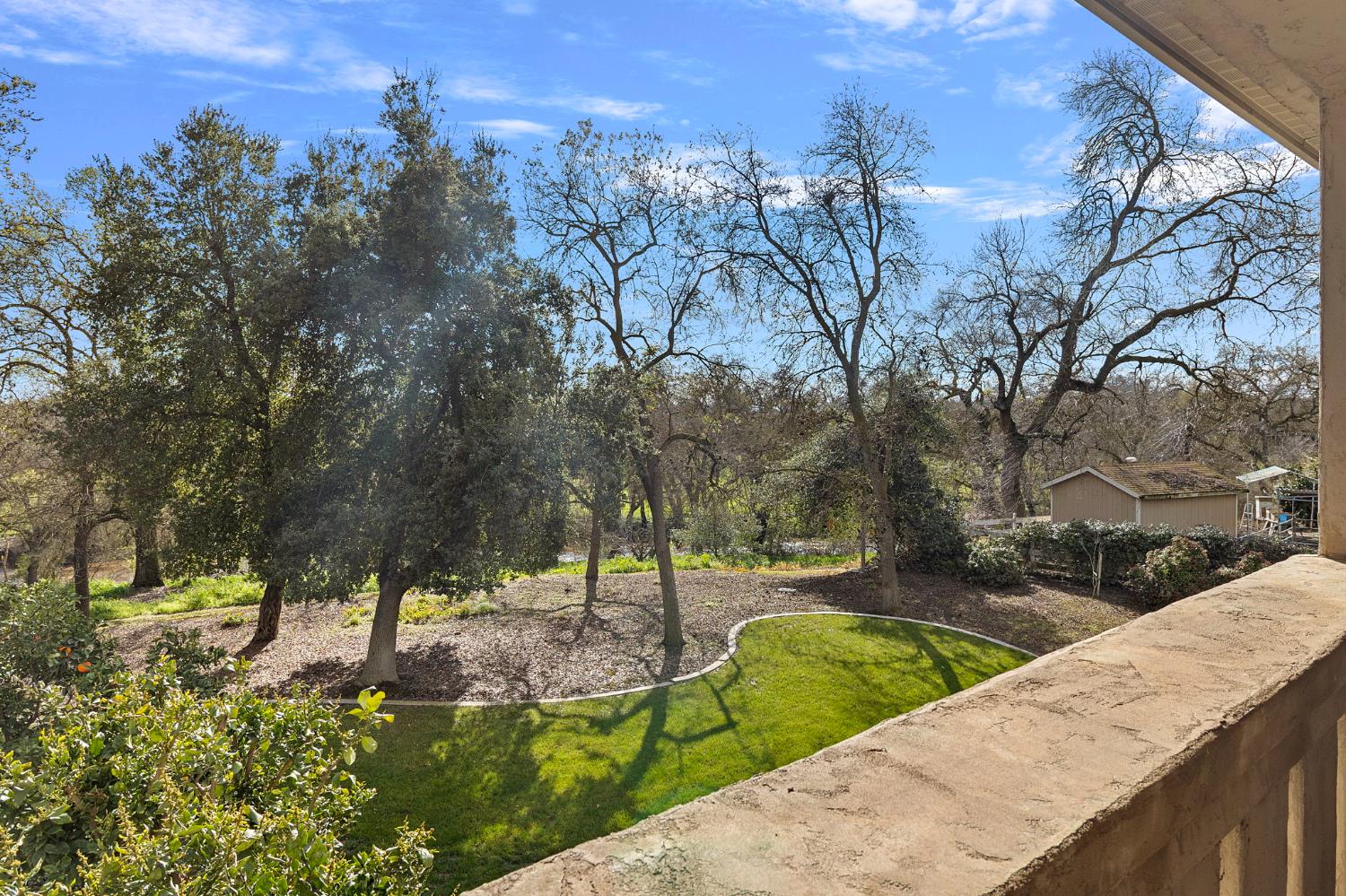 5724 Parker Road Modesto, CA 95357 - Photo 3 of 69 a view of a park with large trees